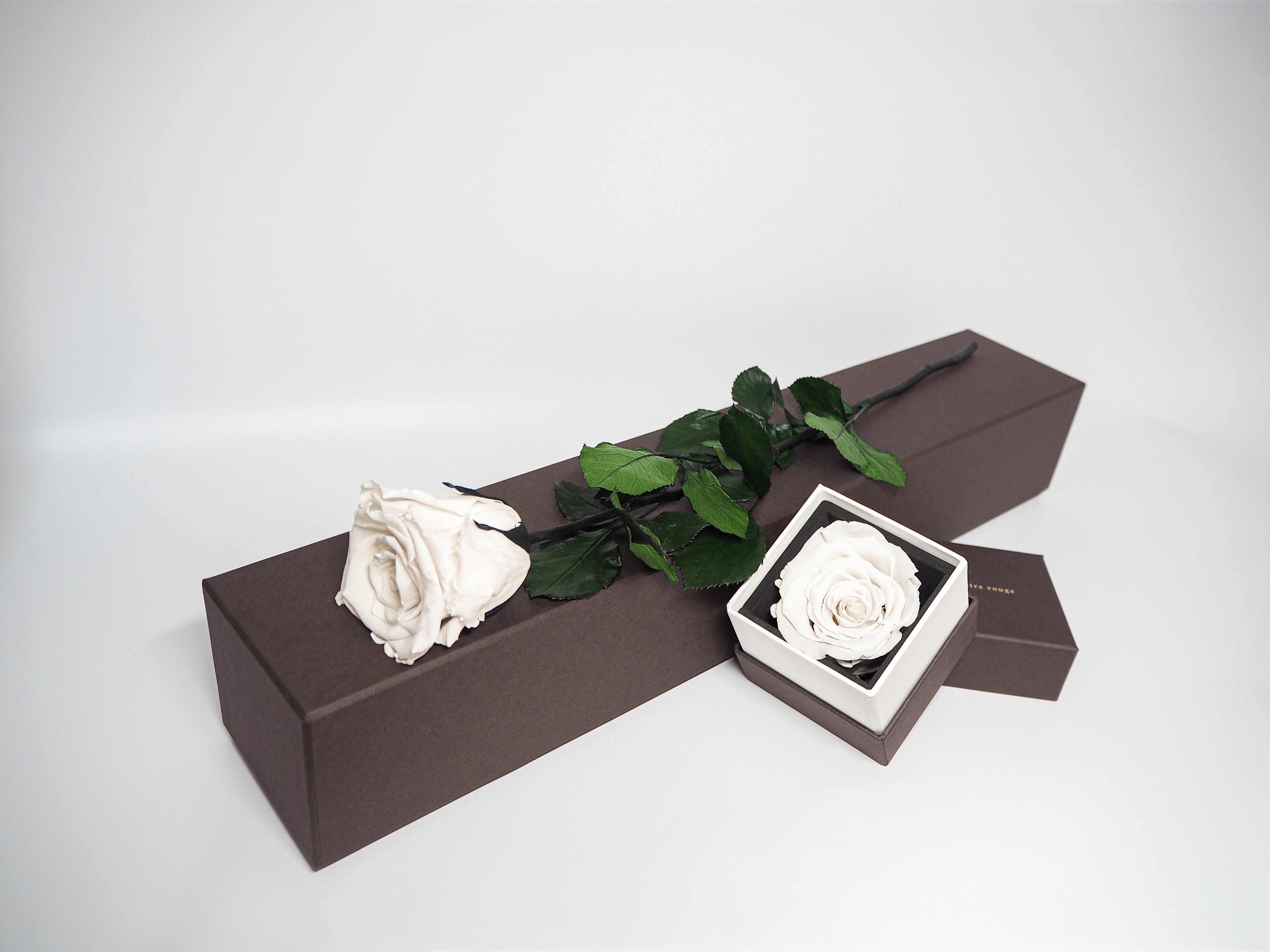 Season Rose Collection