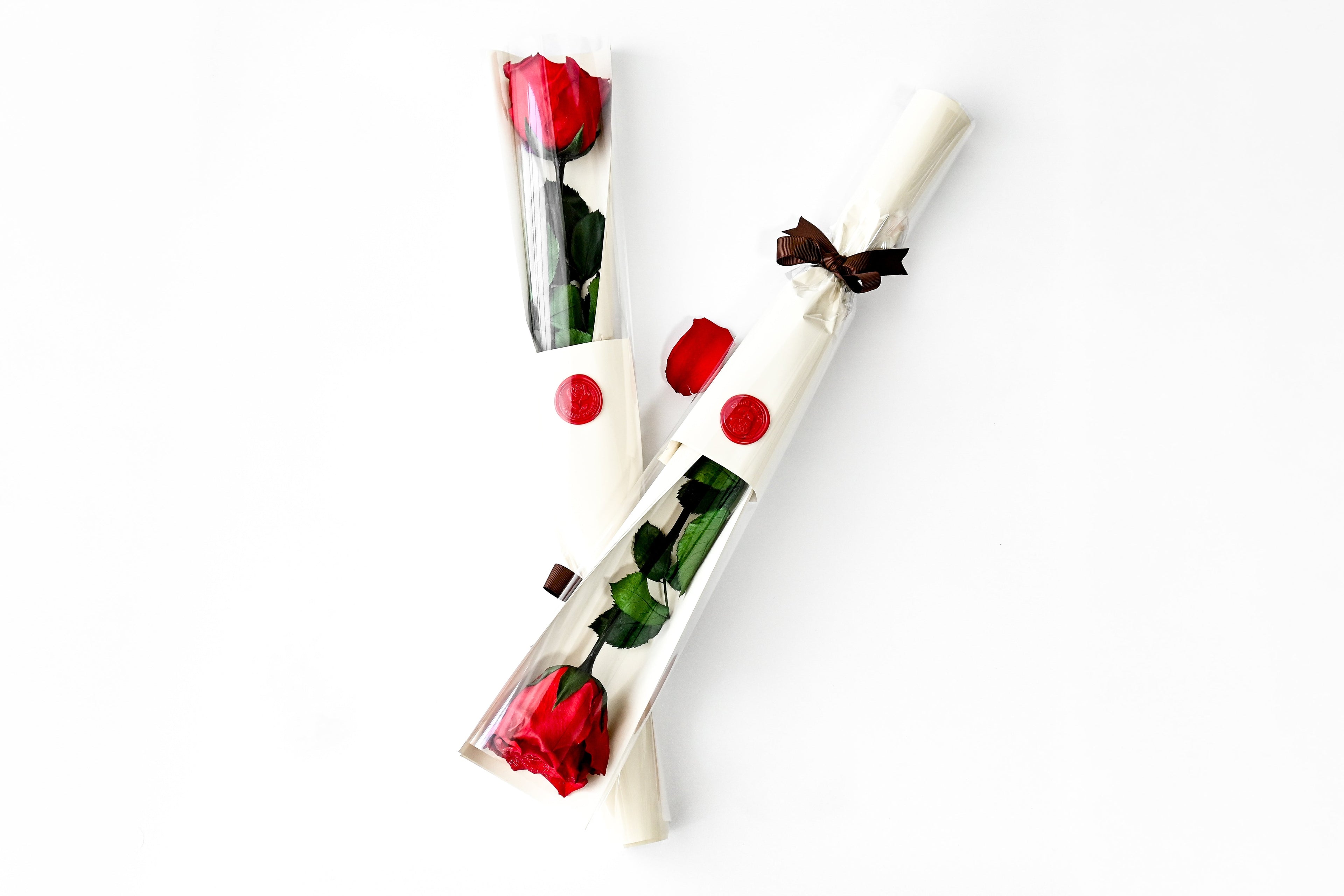Letter Rose Collection