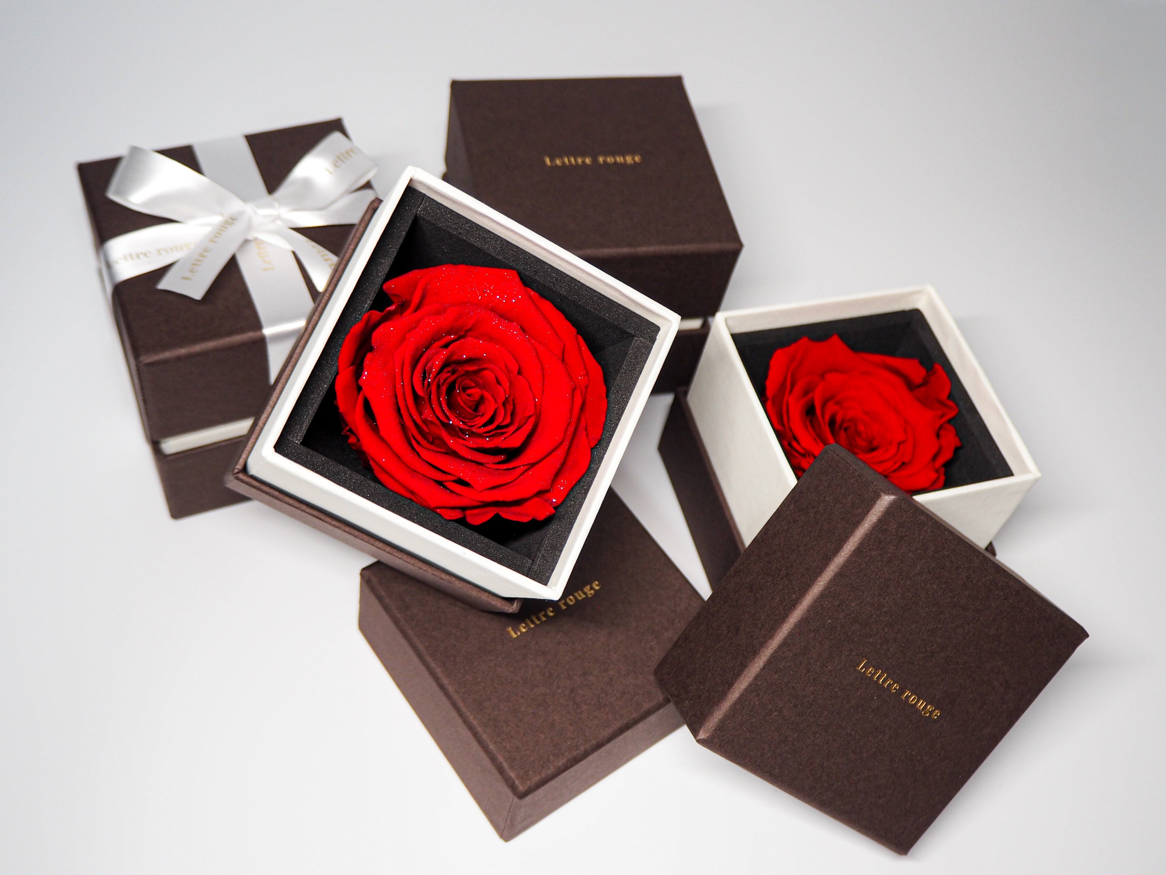 Still Rose Collection