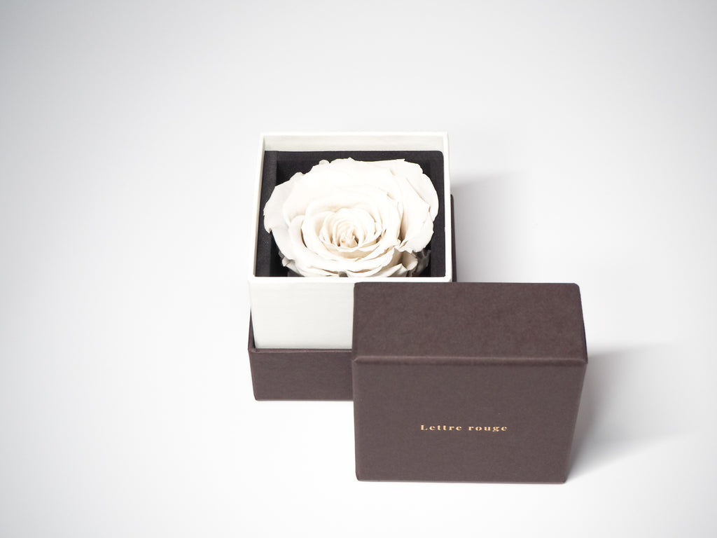 Clair | クレール