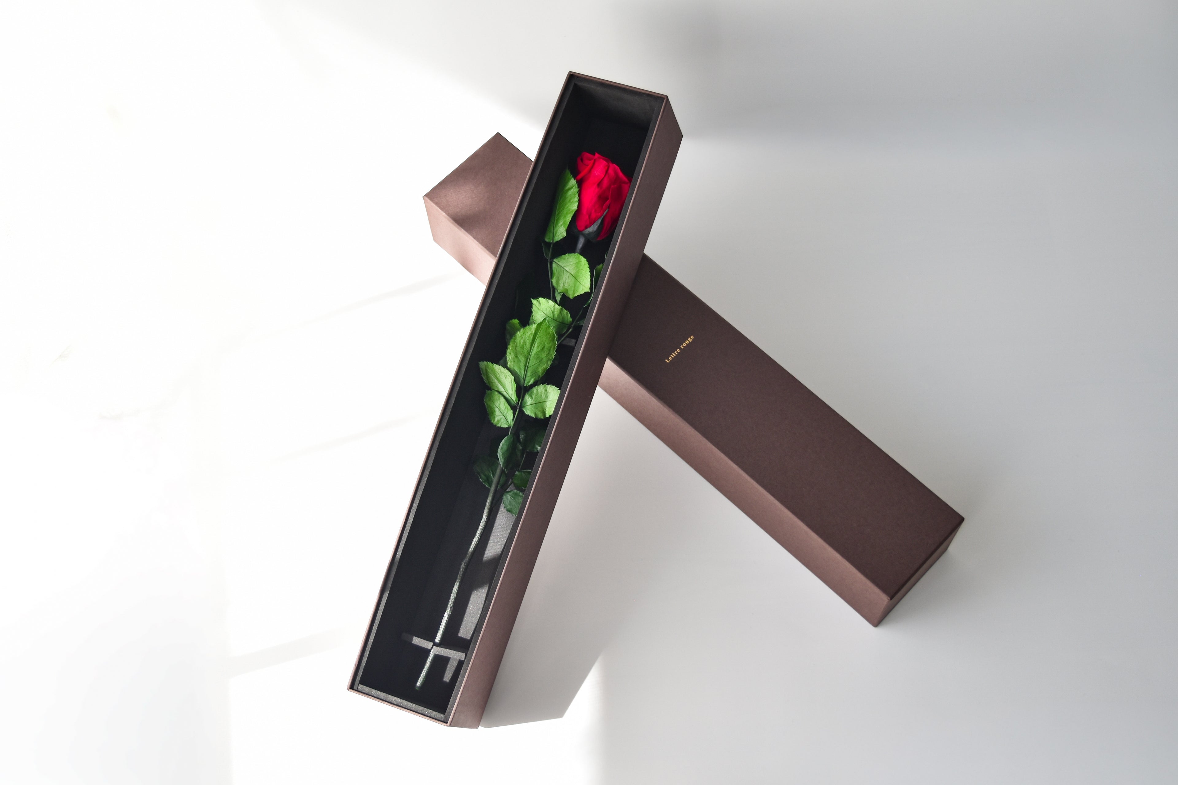 Diamant | ディアマン