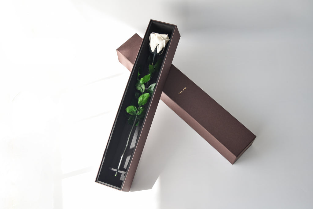 Éveil | エヴェイユ