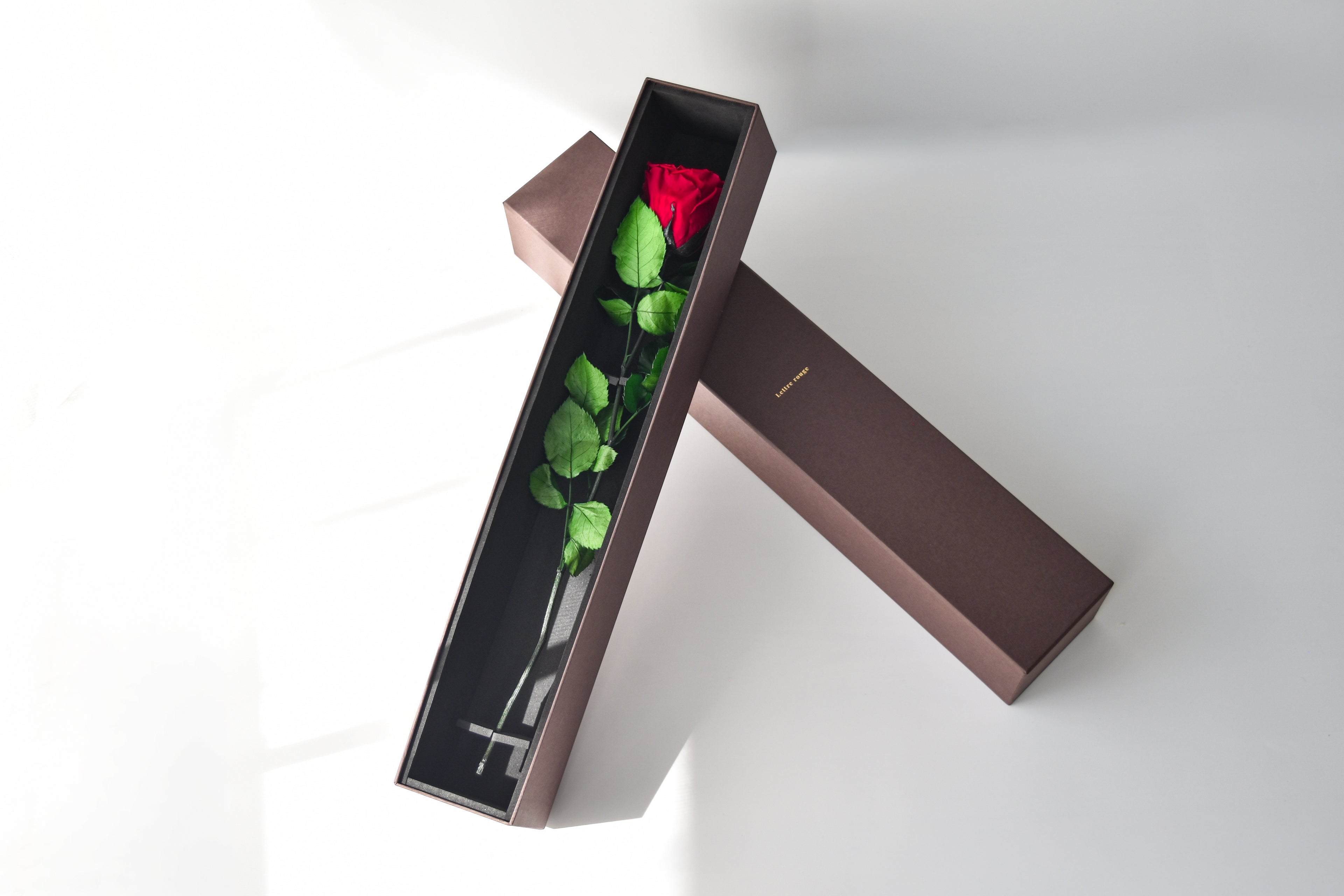 Rouge | ルージュ