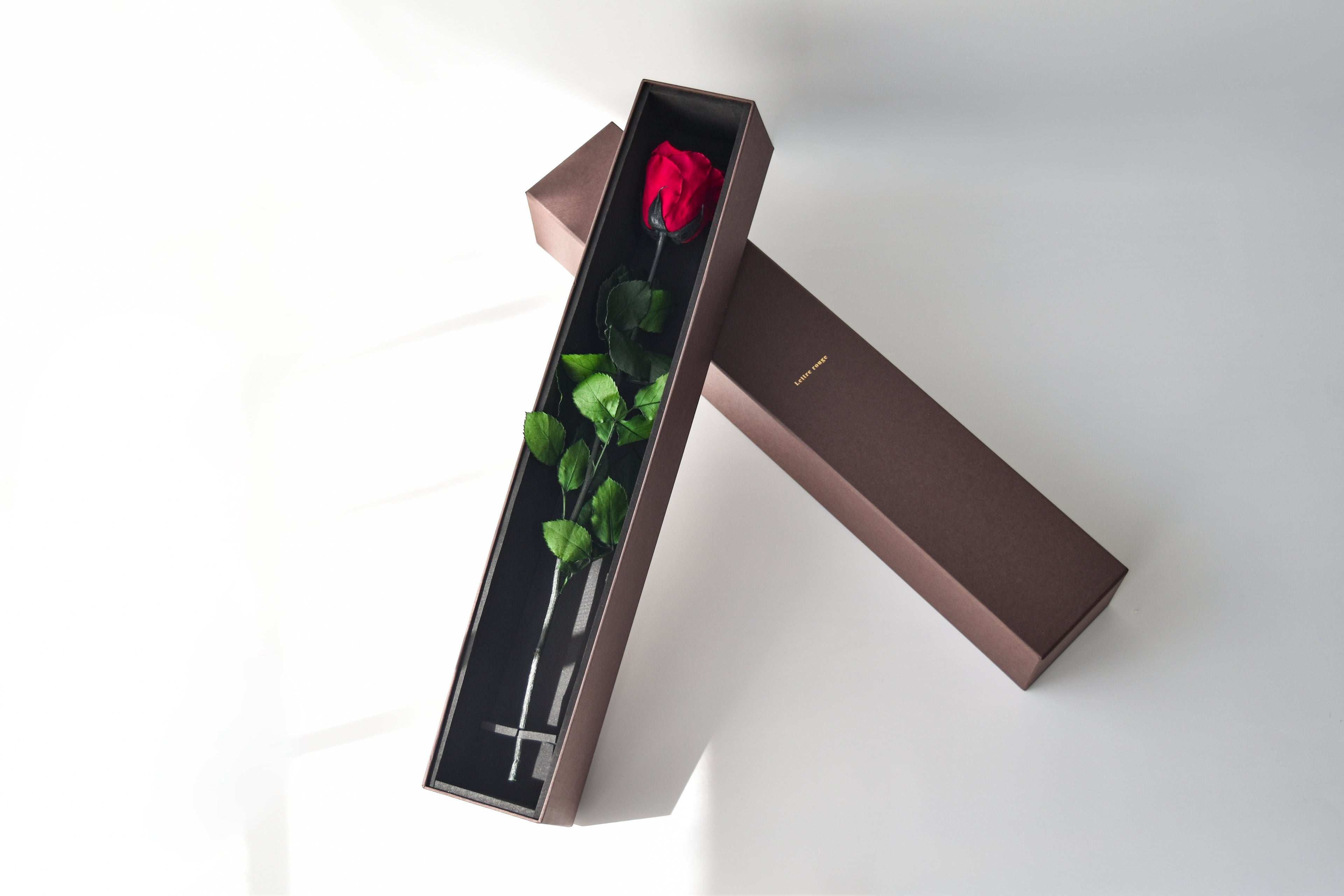 Velours | ヴルール