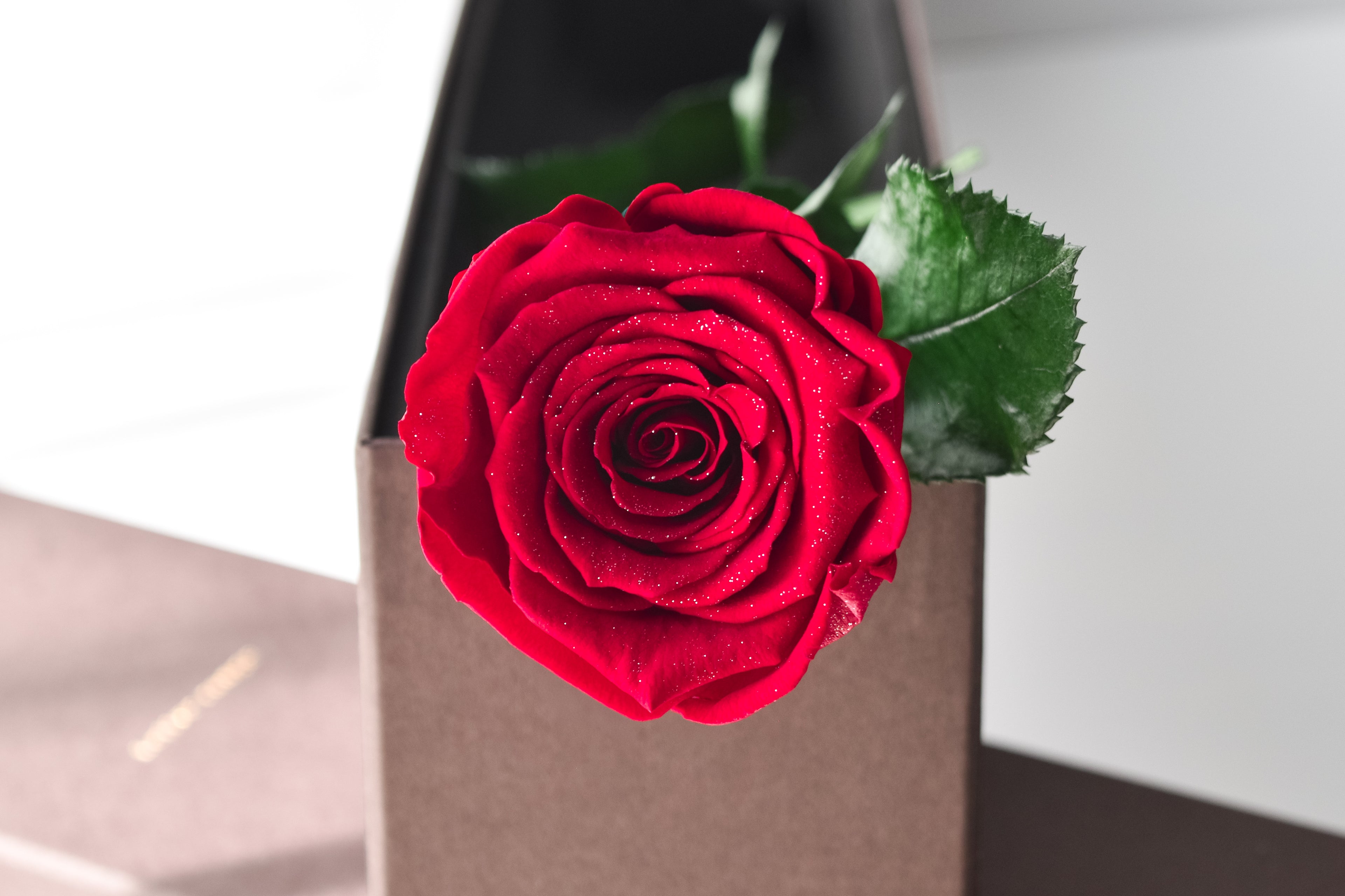 Diamant | ディアマン