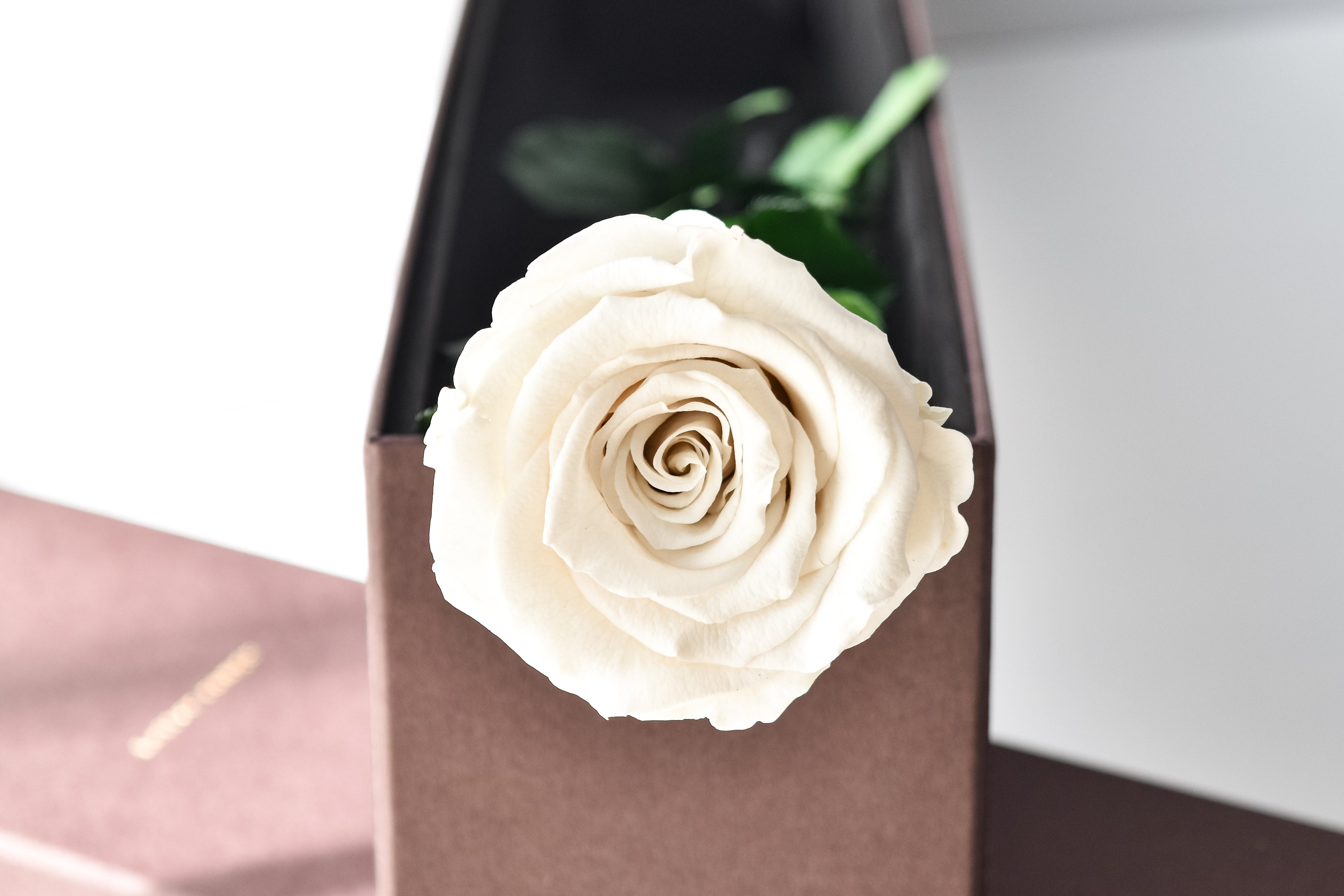 Éveil | エヴェイユ