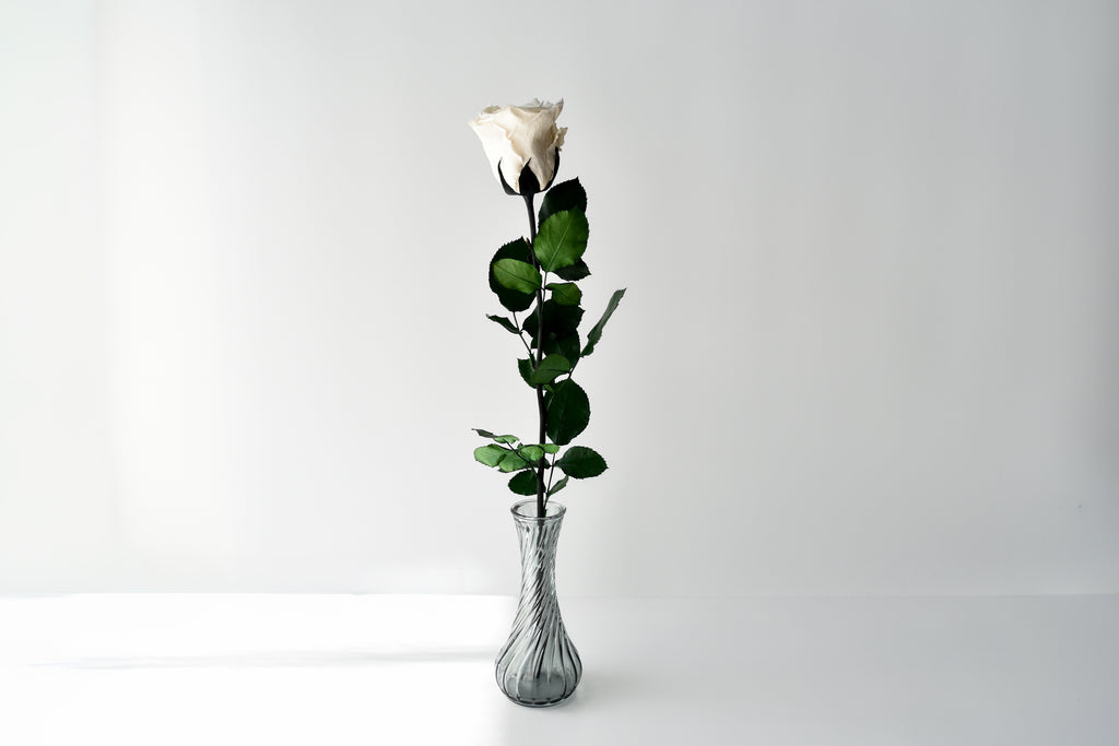 Éveil | エヴェイユ