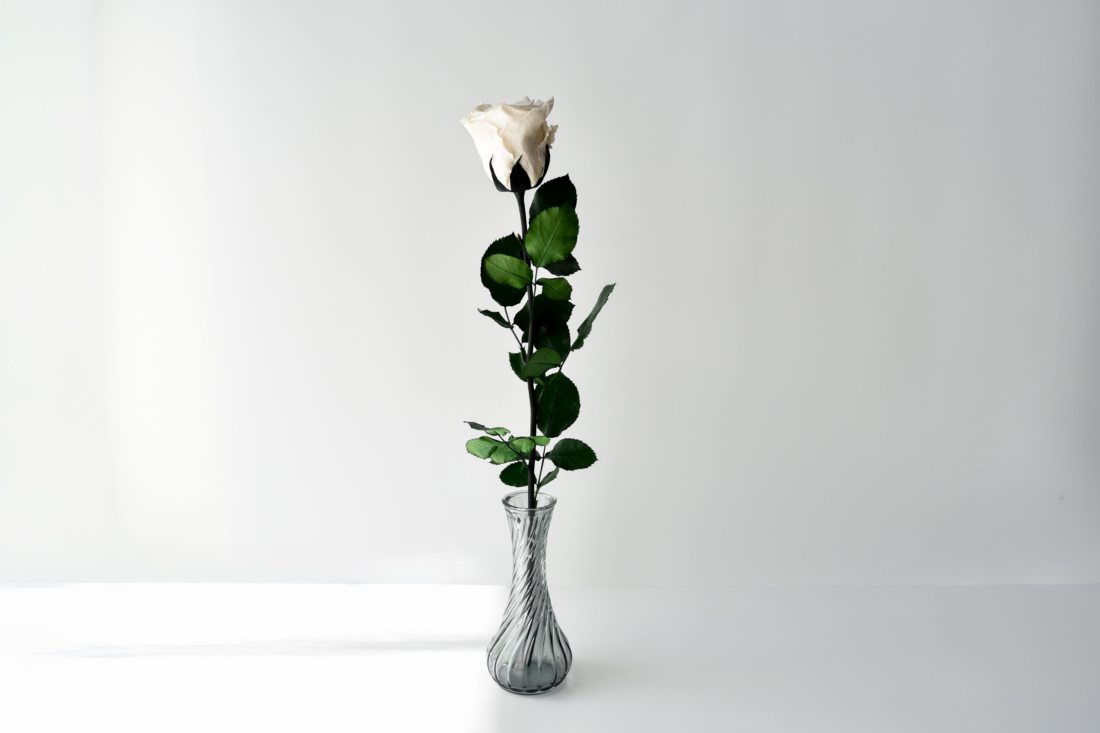 Éveil | エヴェイユ