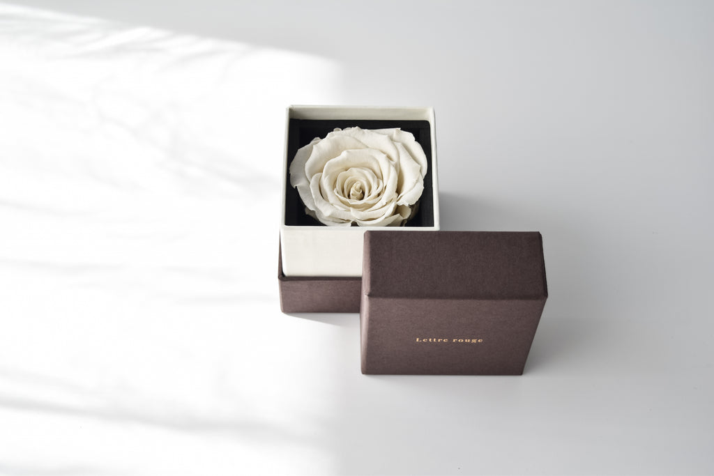 Clair | クレール