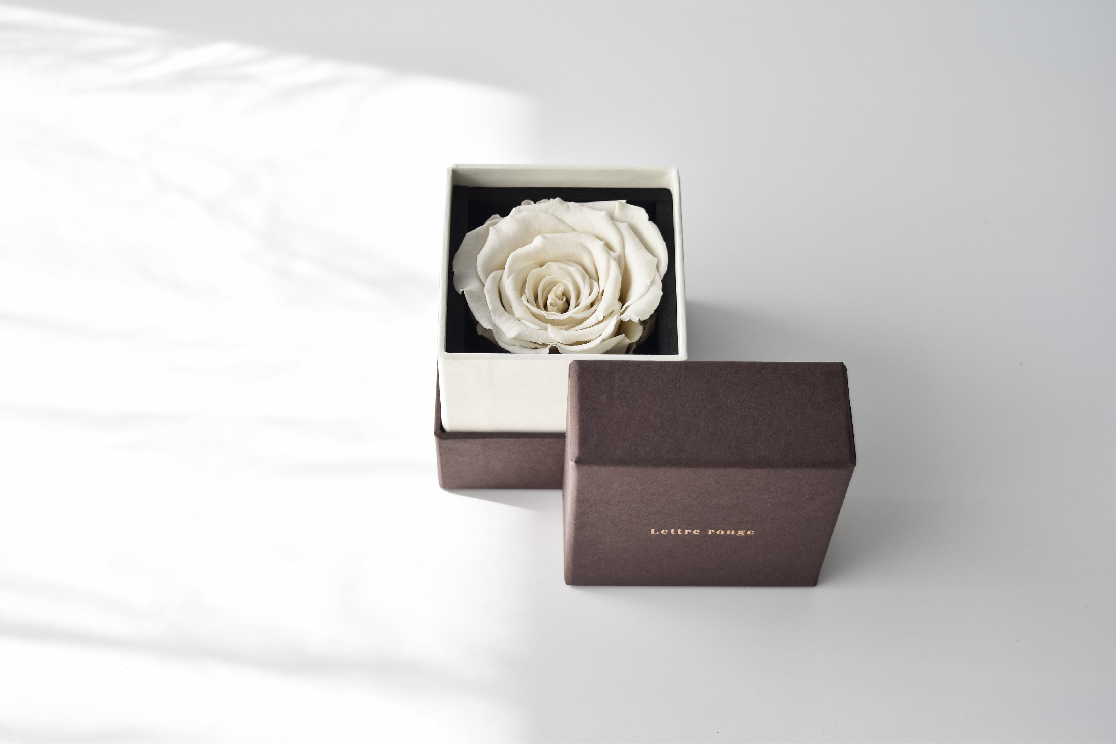 Clair | クレール