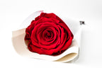 Letter Rose - Red