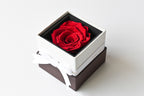 Rose Box - Red