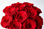 Rose Bouquet 12 - Red