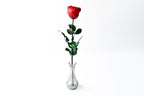 Letter Rose - Red