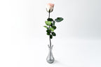 One Rose - Pink