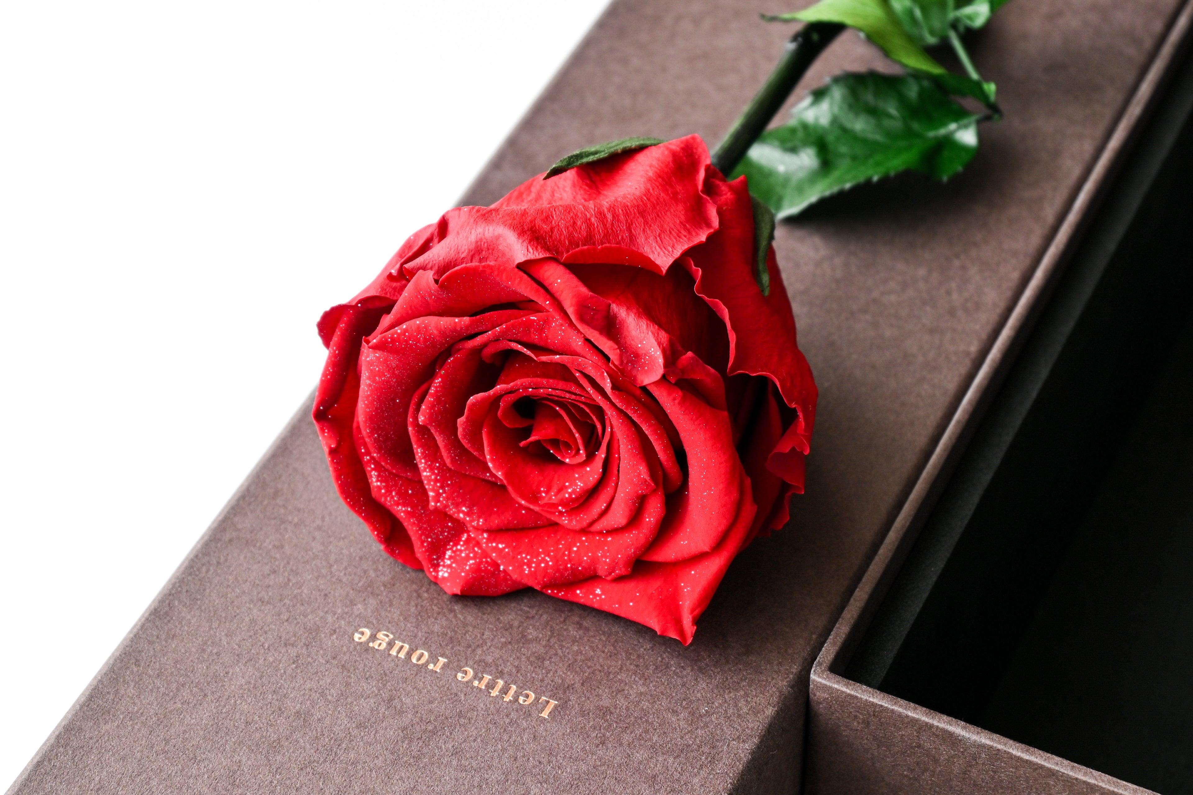 One Rose - Diamond