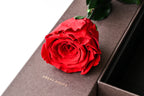 One Rose - Red