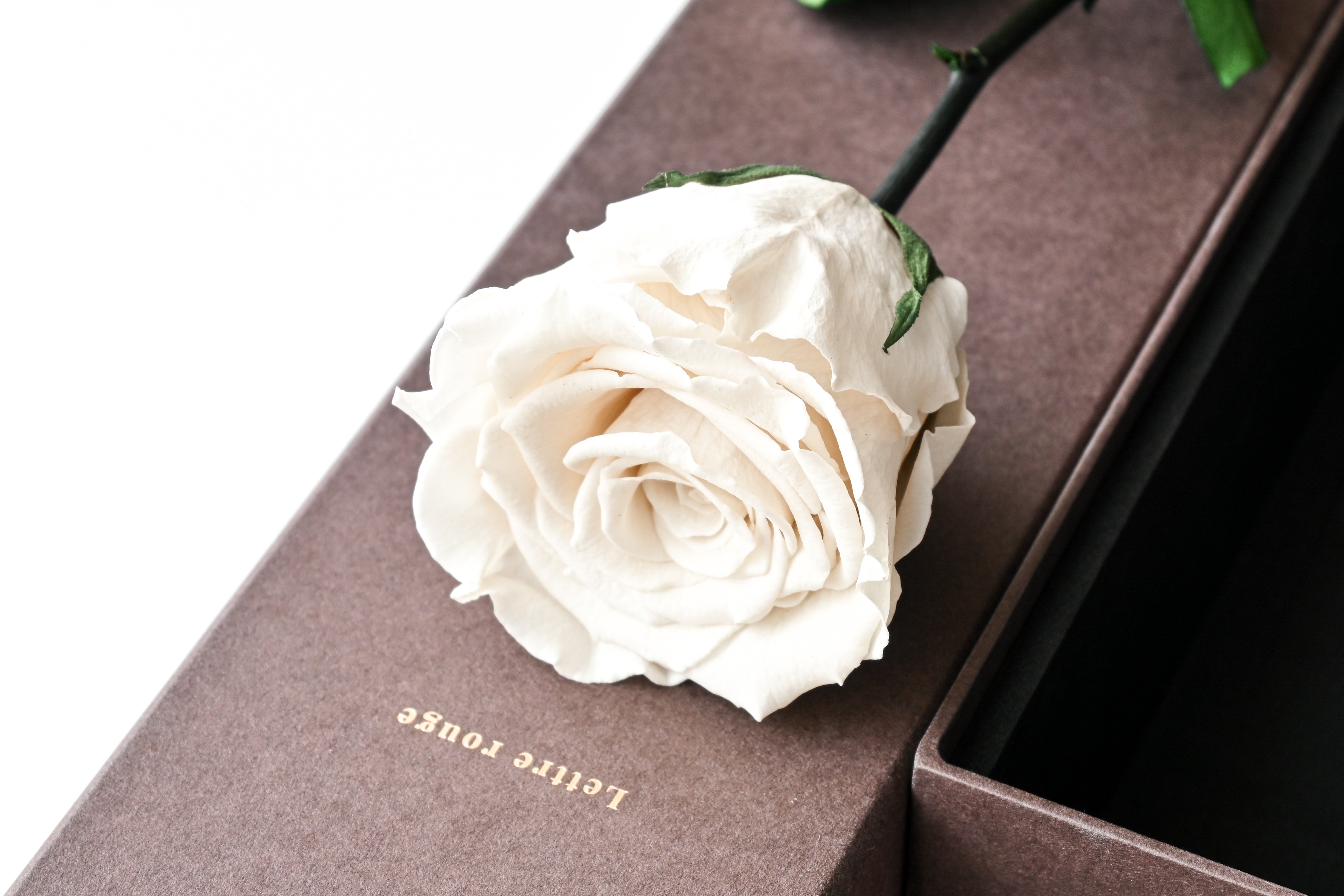 One Rose | 一輪のプリザーブドフラワー – Lettre rouge