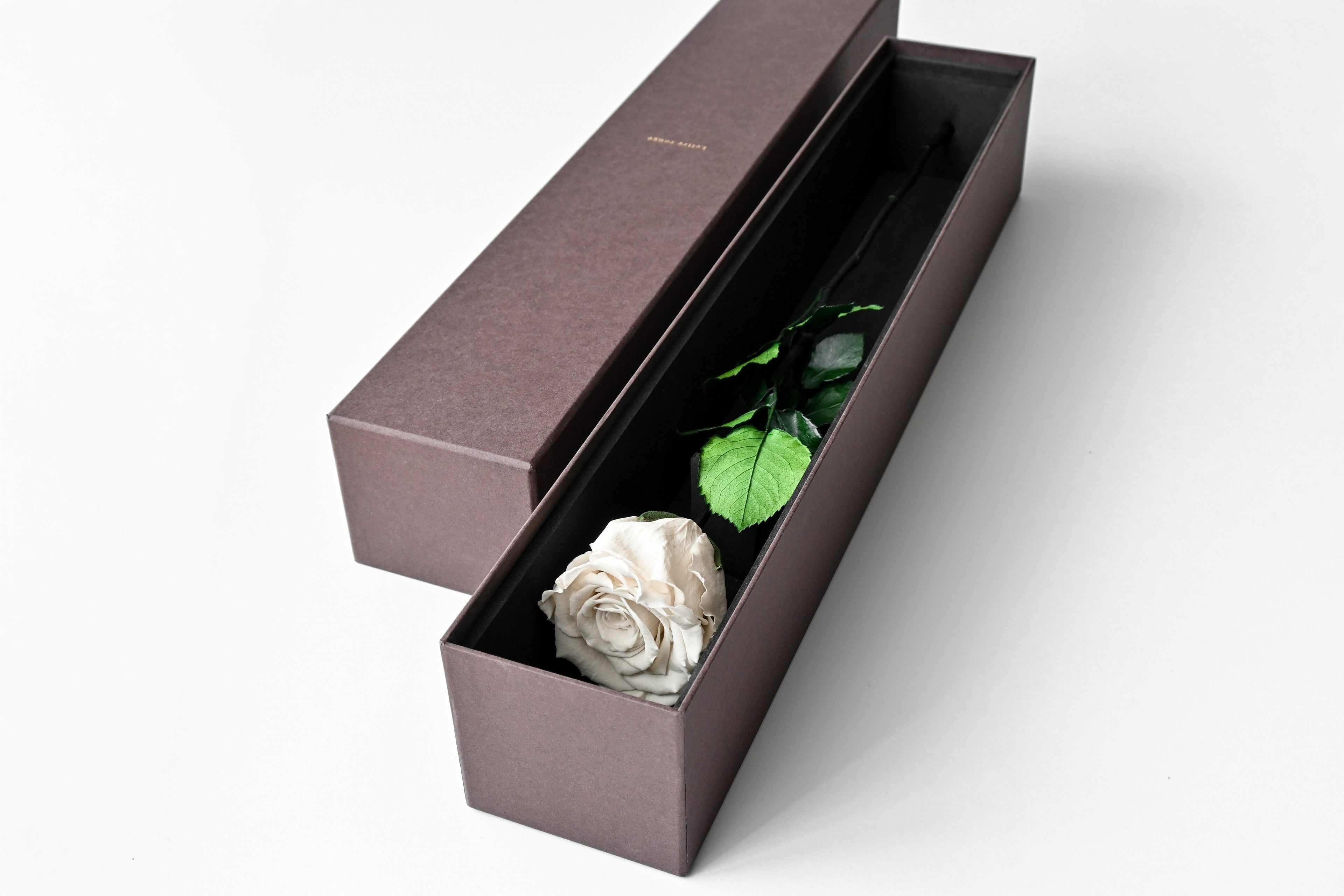 One Rose - White