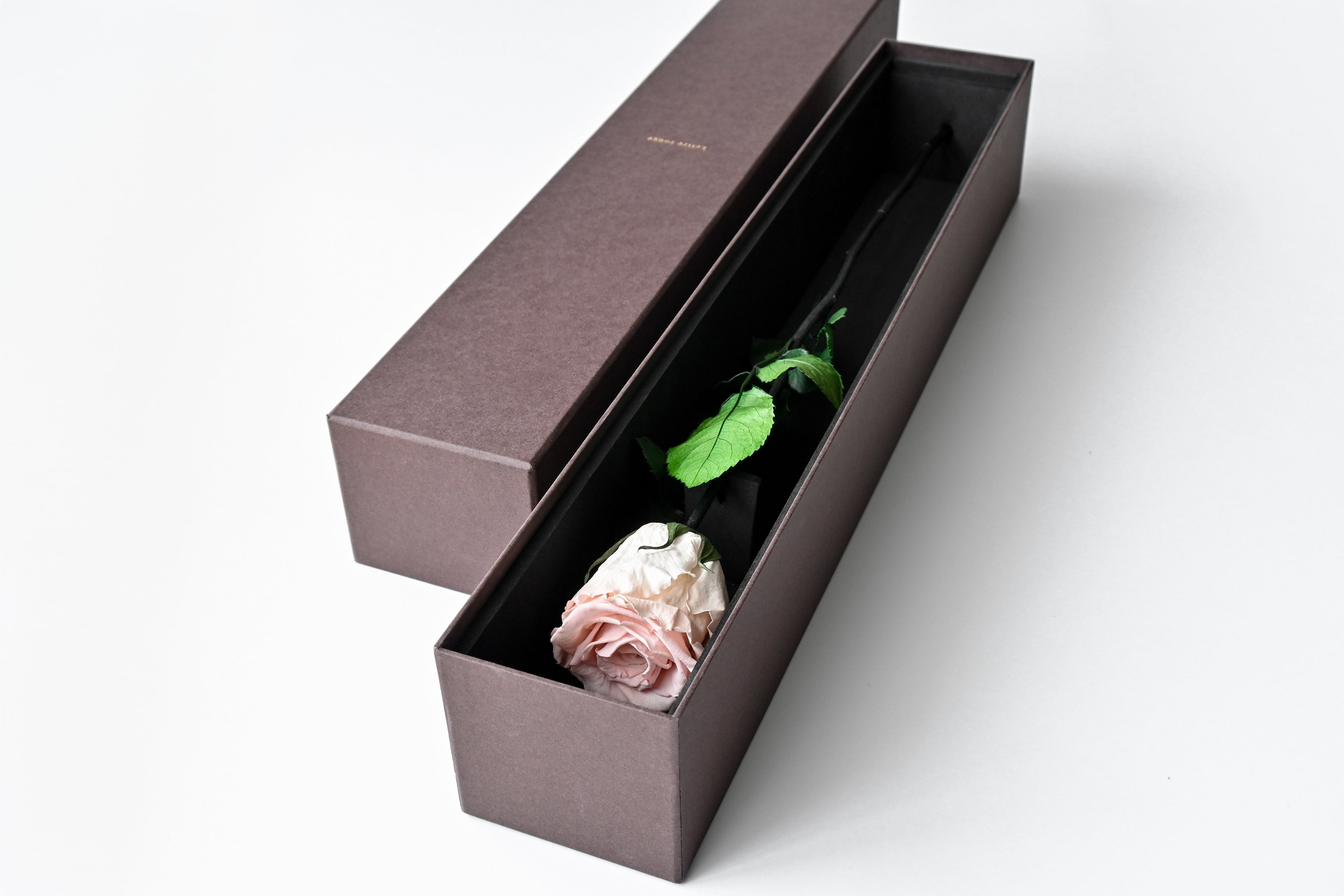 One Rose - Pink