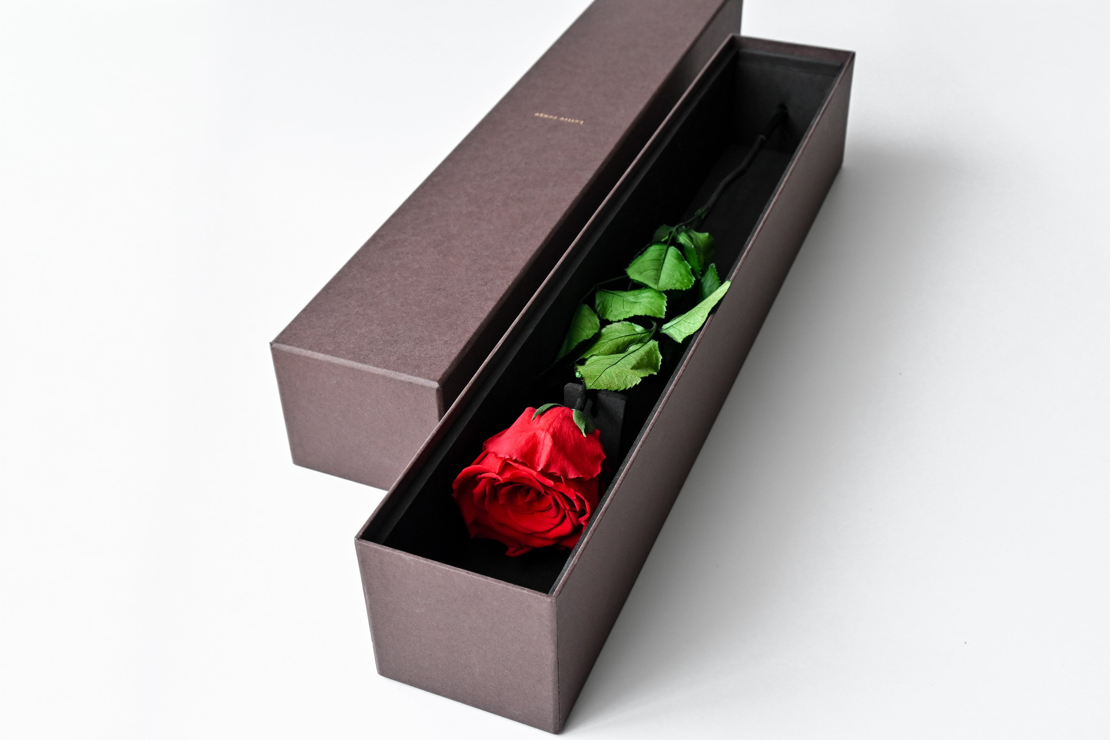 One Rose - Red