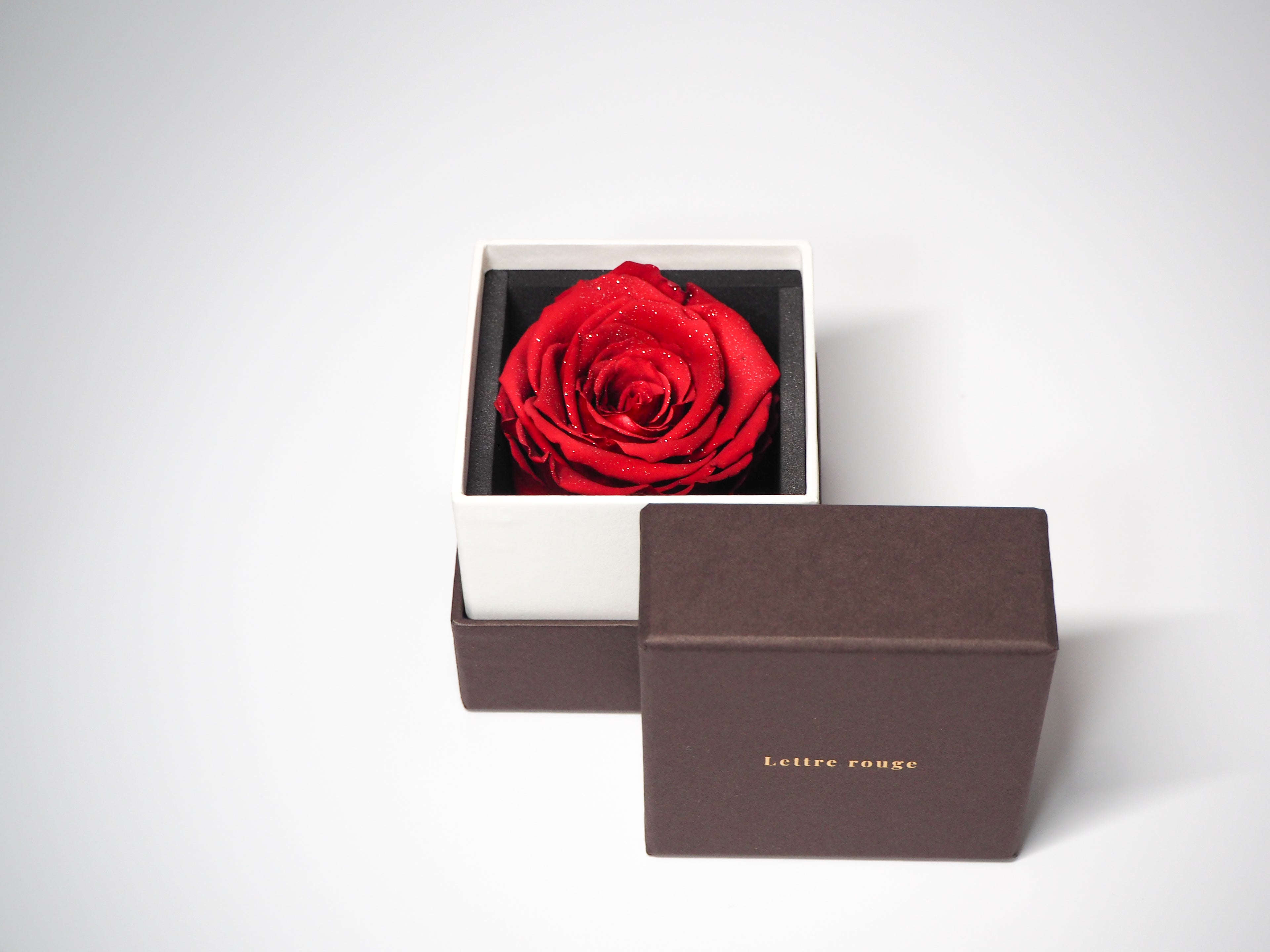 Lueur | リュール