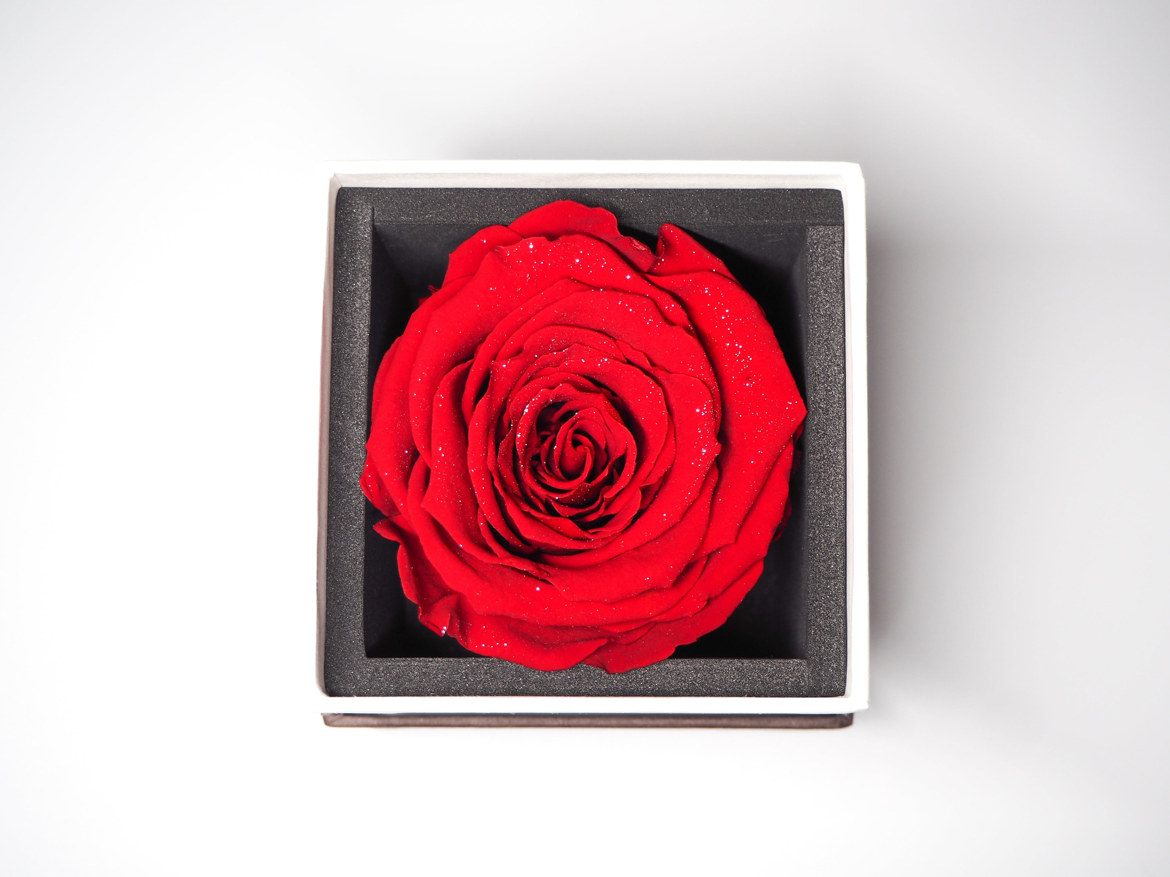 Lueur | リュール