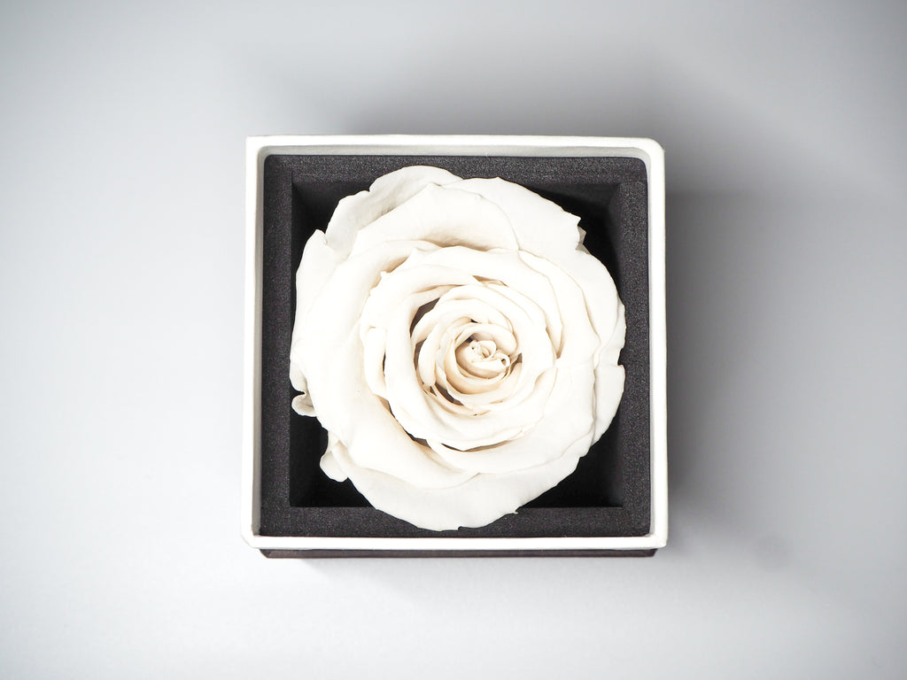 Clair | クレール