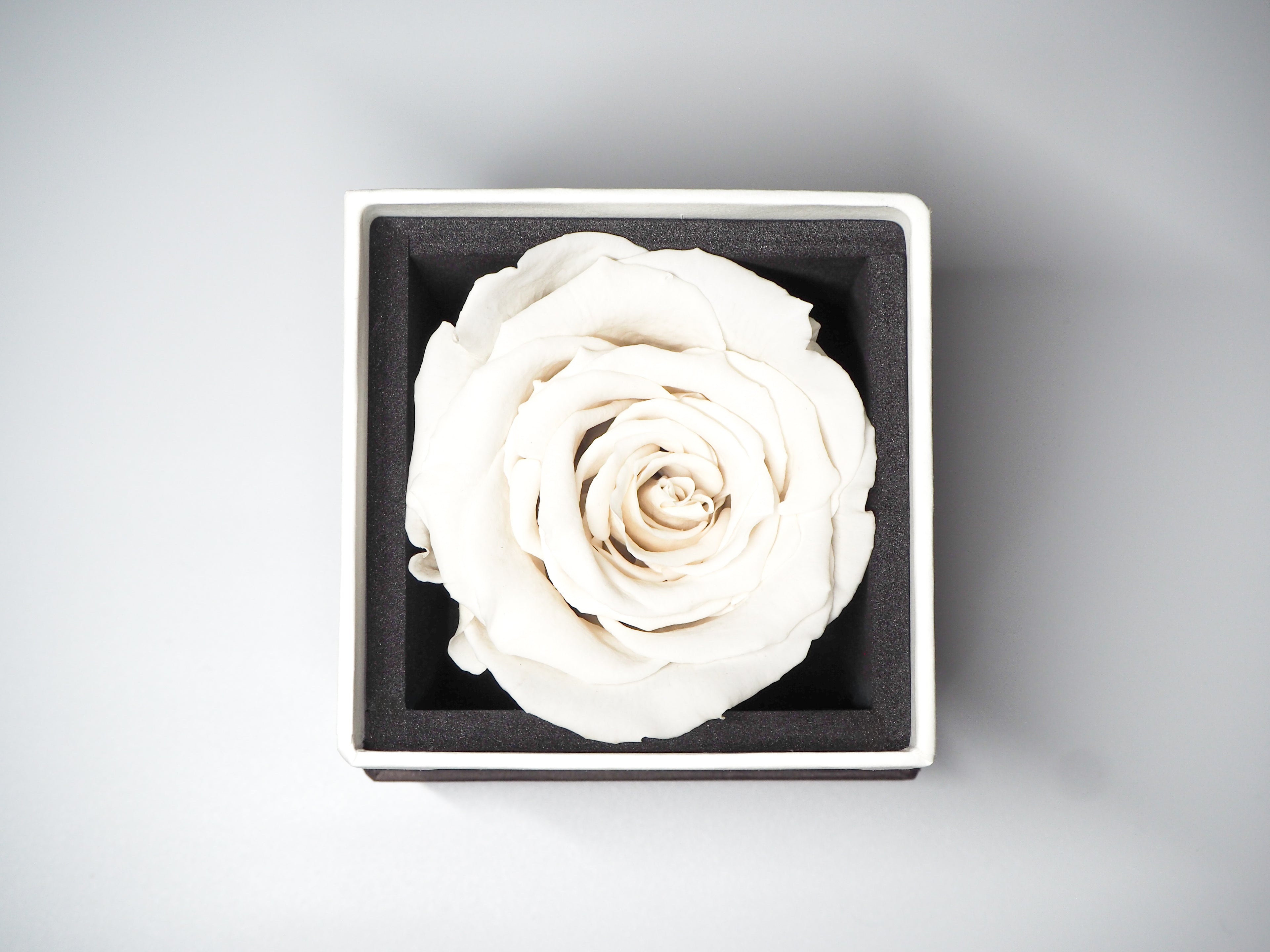 Clair | クレール